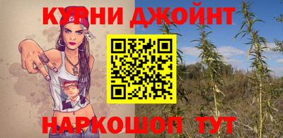 шишки Славянск-на-Кубани