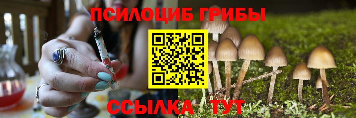 Галлюциногенные грибы MAGIC MUSHROOMS Оренбург